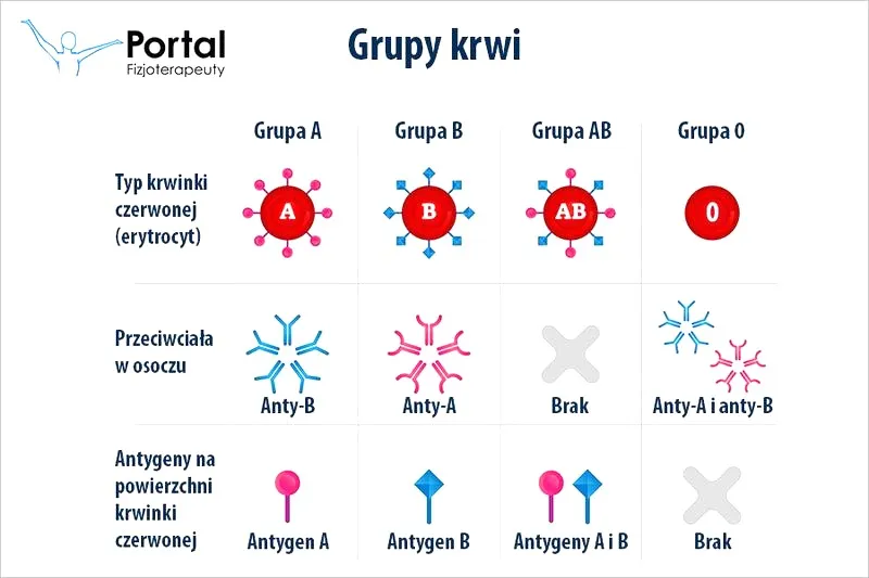 Kiedy odkryto grupy krwi? Oto niezwykłe fakty, które powinieneś poznać