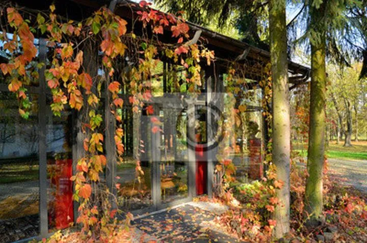 Nowy Dom Sztuki w Radziejowicach: Odkryj fascynującą przestrzeń kulturalną pełną inspiracji