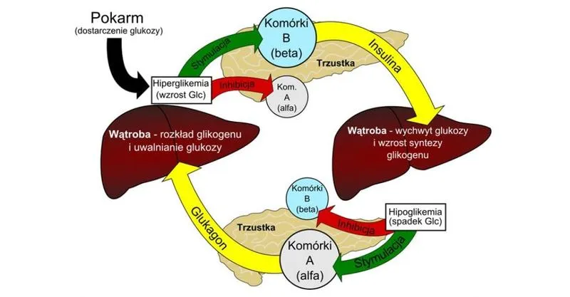 Rewolucja w leczeniu cukrzycy