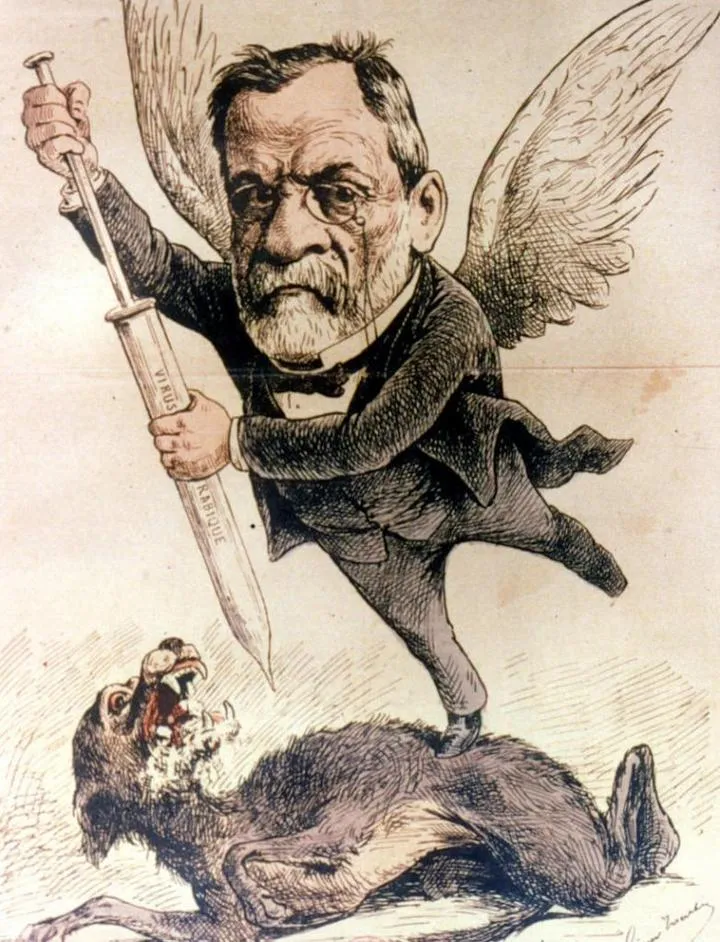 Teoria drobnoustrojów chorób